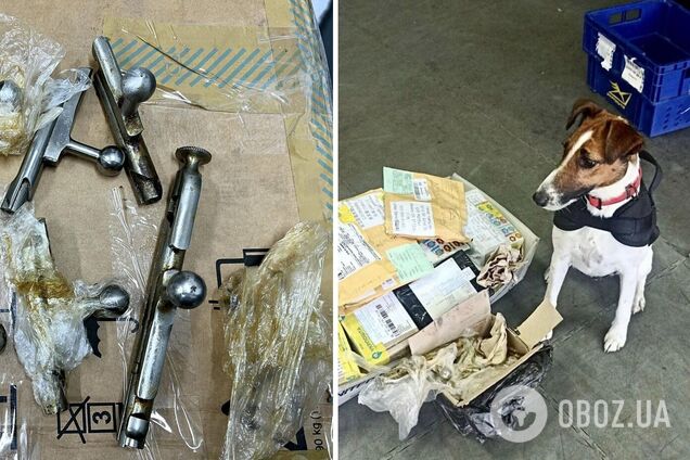 Частини зброї знайшов службовий собака