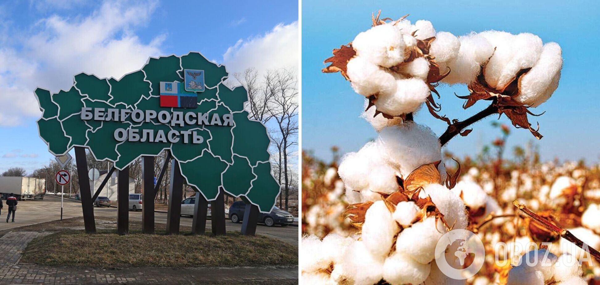 У Бєлгородській області поскаржилися на 'бавовну'