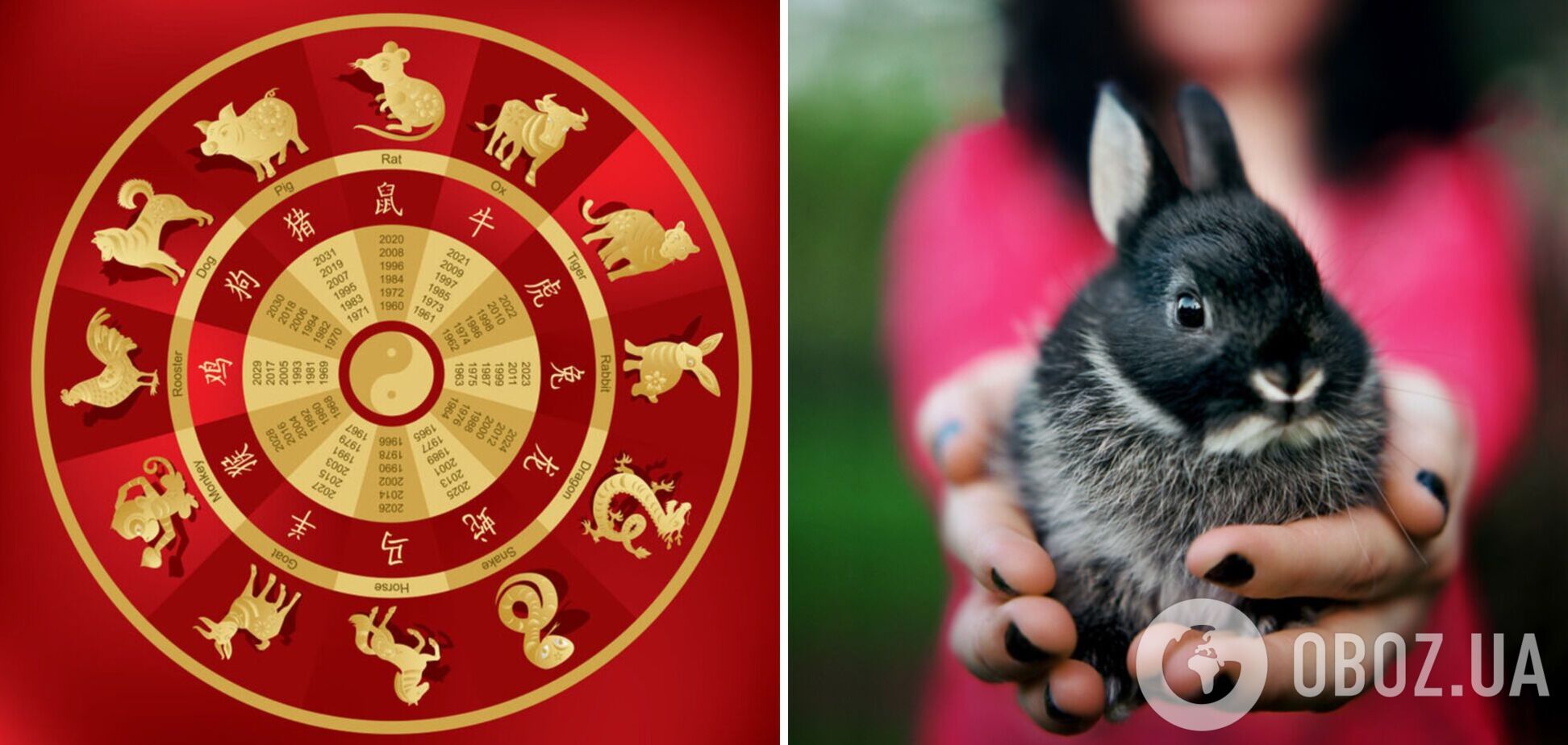 Кому китайський Новий рік принесе багатство й удачу: гороскоп для всіх знаків