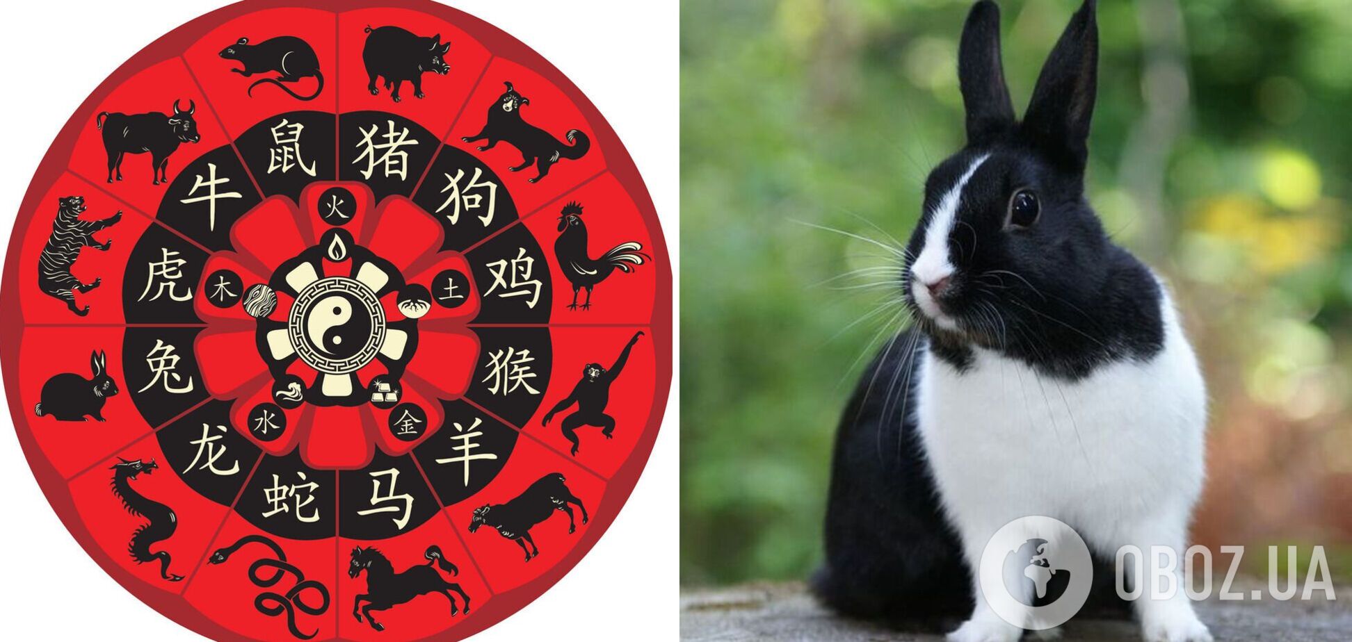 Четыре знака ждут тяжелые месяцы: гороскоп на китайский Новый год