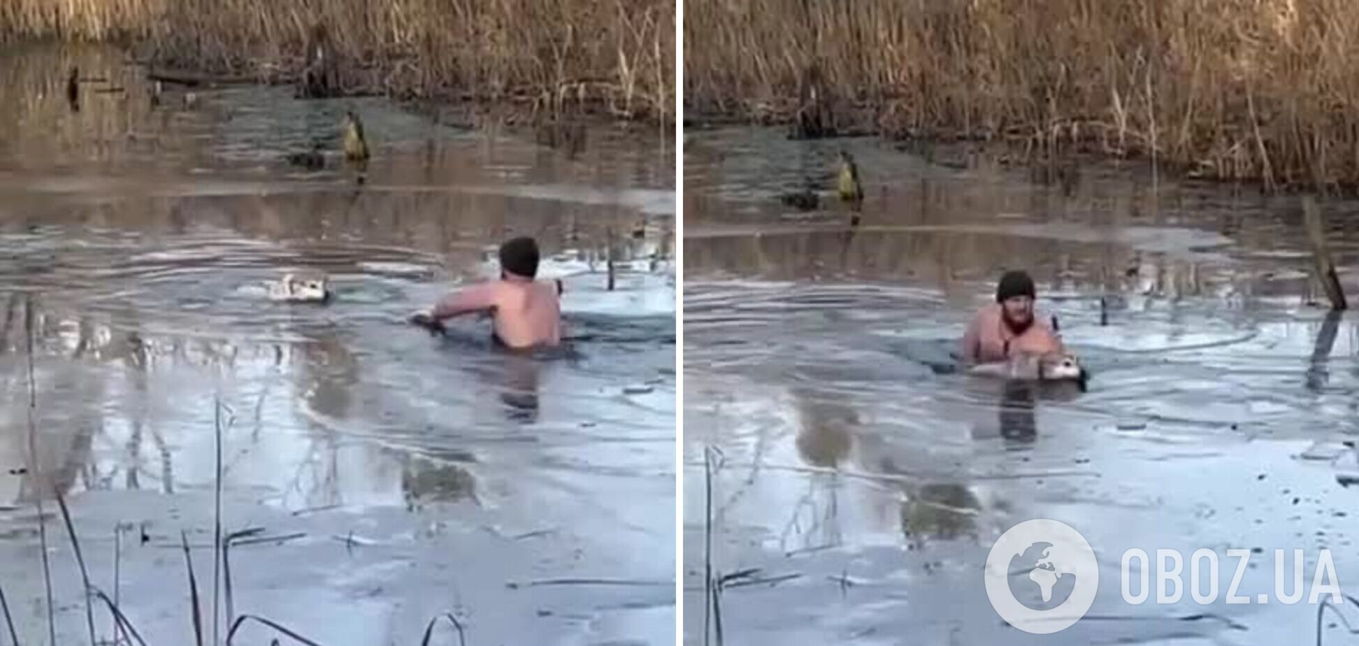В Киеве мужчина спас собаку, которая провалилась под лед: трогательное видео