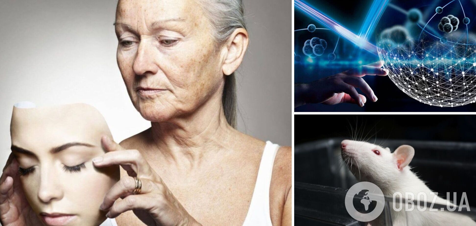 Ученые заявили, что нашли путь вернуть старение 'назад'