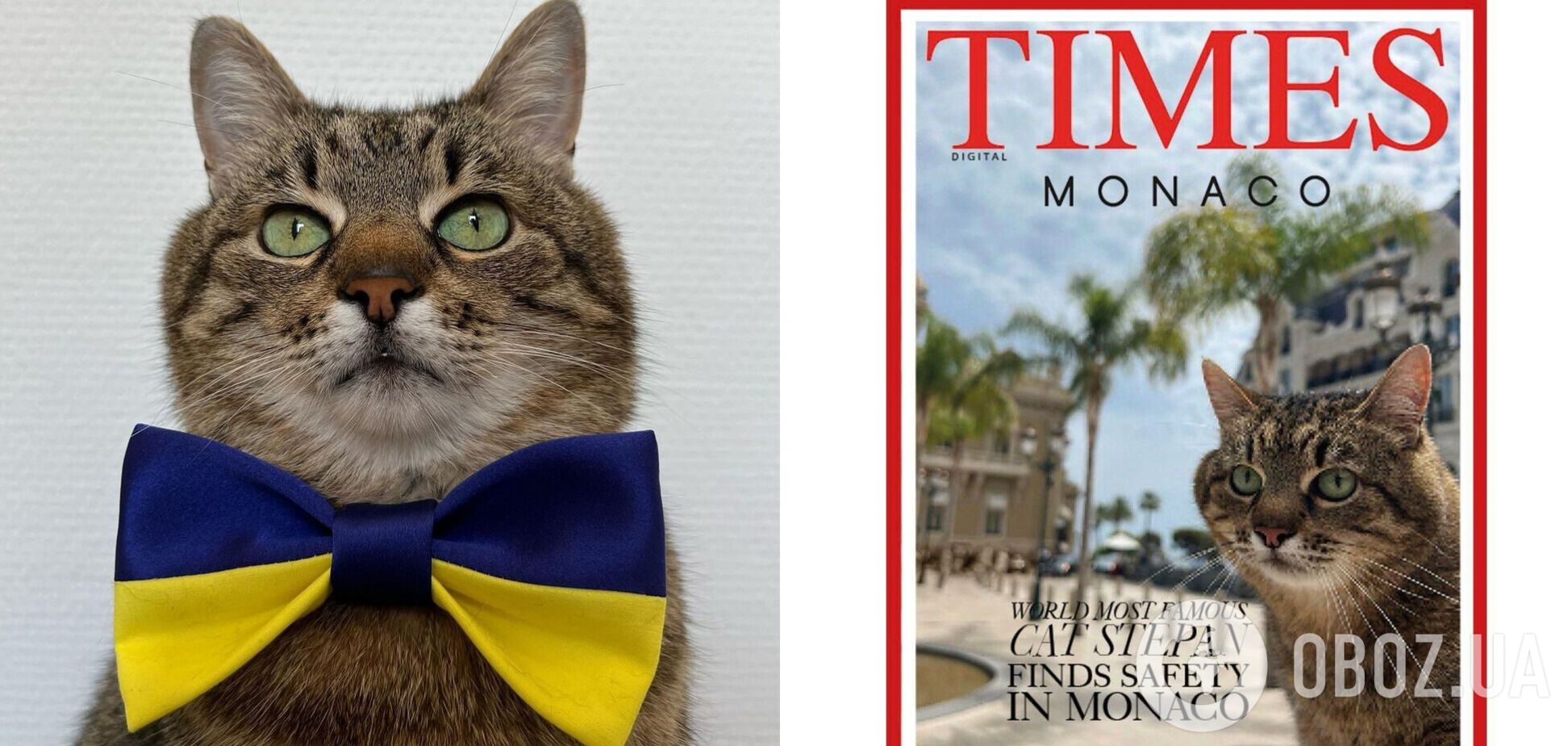 Кот-блогер Степан из Харькова украсил обложку журнала Times Monaco