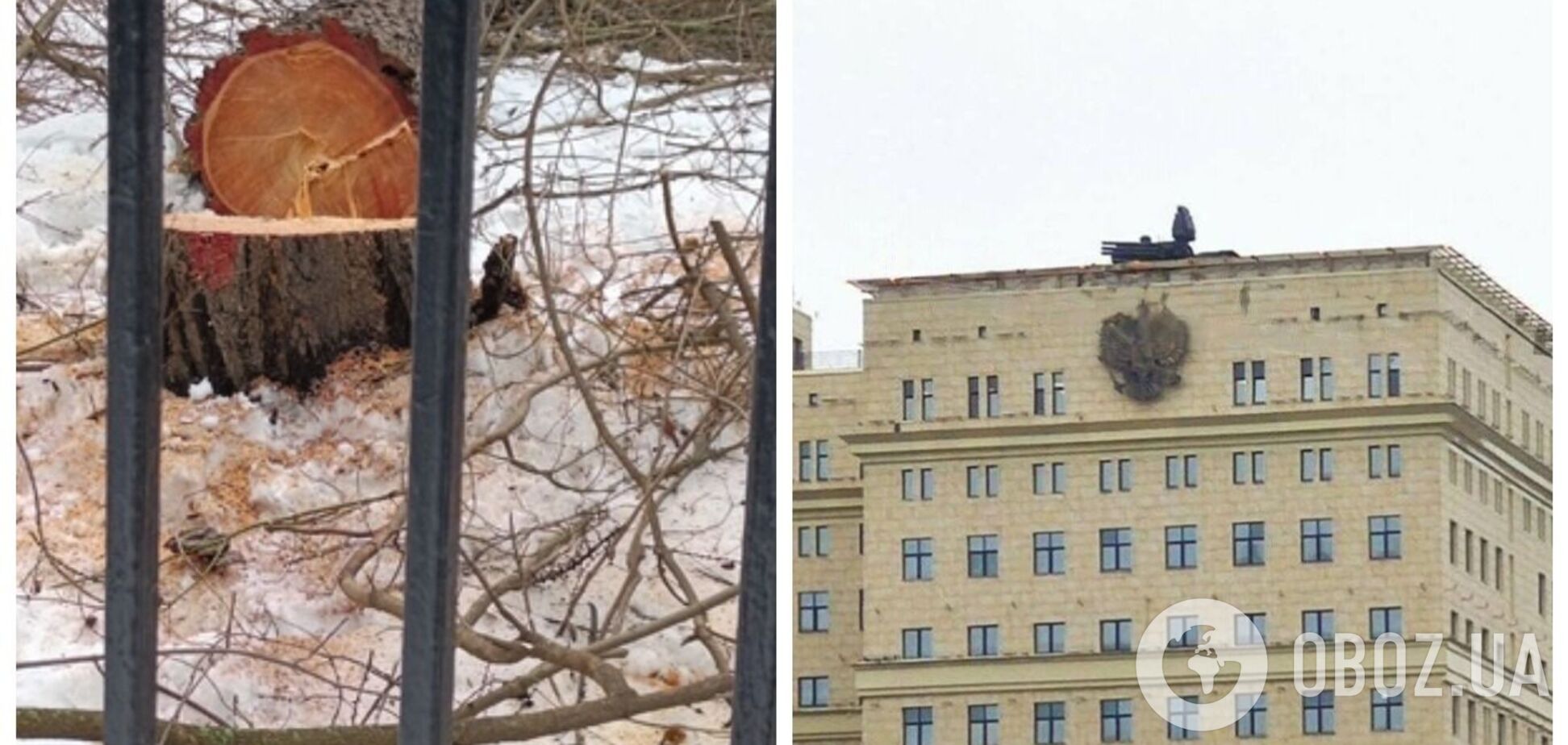 Паніки нема: у Москві почали вирубувати парк під встановлення системи ППО. Фото