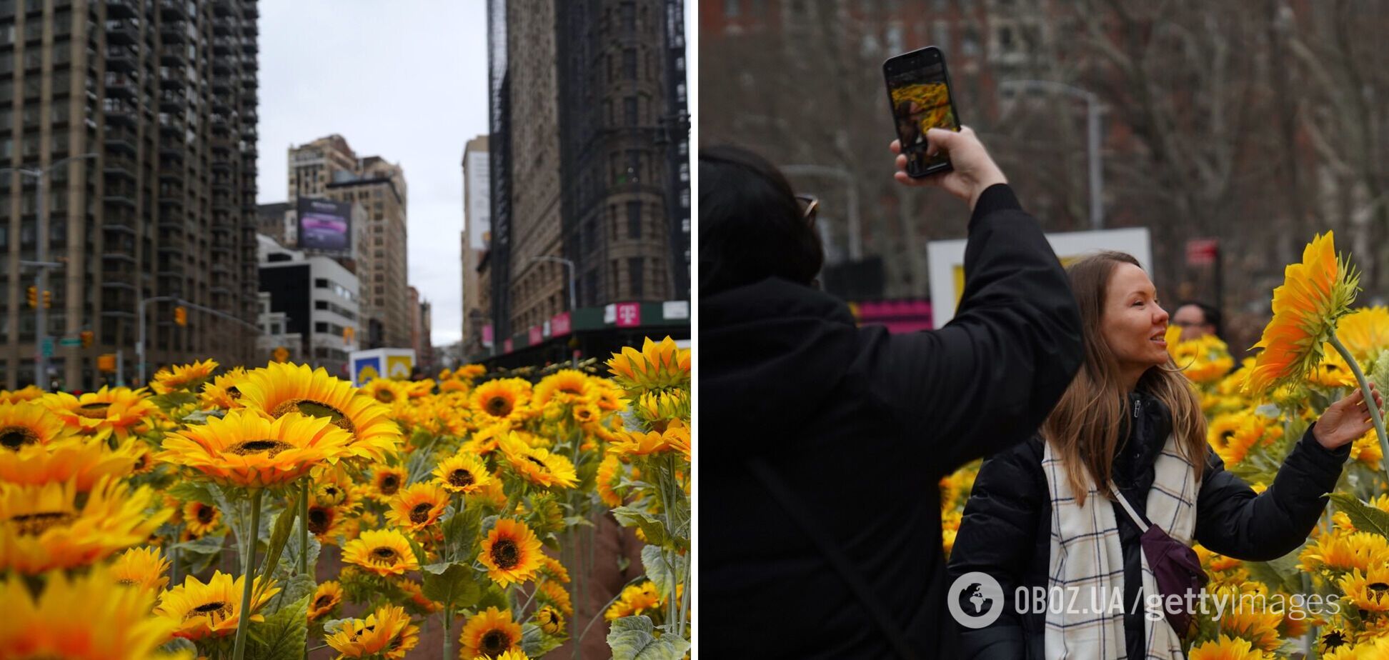 У самому серці Нью-Йорка встановили інсталяцію з 333 соняшниками з нагоди Дня Соборності України. Фото