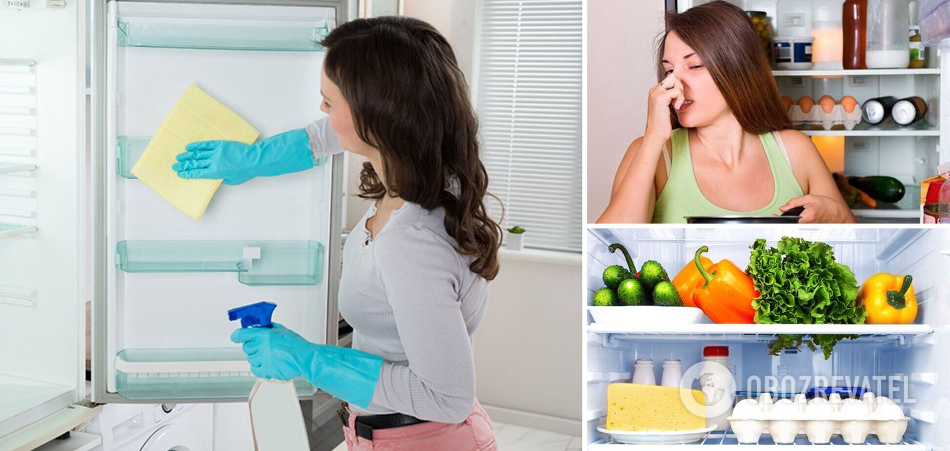 Як прибрати неприємний запах із холодильника: прості і дієві способи