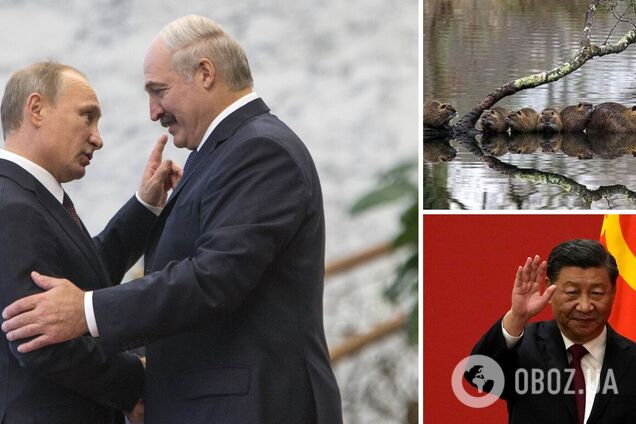 Тиск Китаю, погода і бобри: генерал СБУ назвав, що зупиняє наступ РФ на Україну з півночі