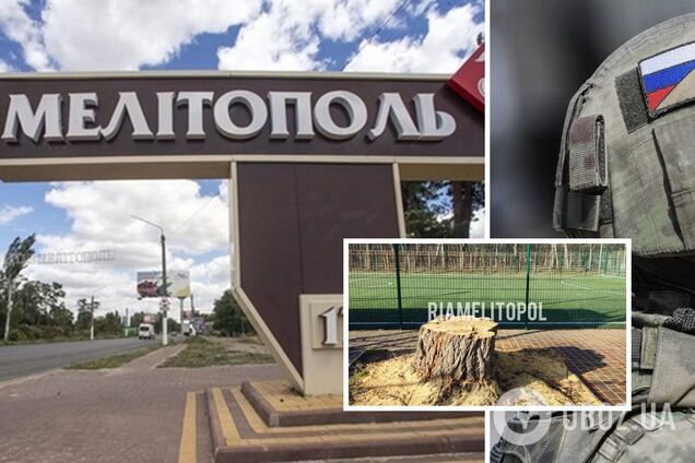 В Мелитополе оккупанты уничтожили аллею декоративных кленов, а улицы превращают в свалку. Фото