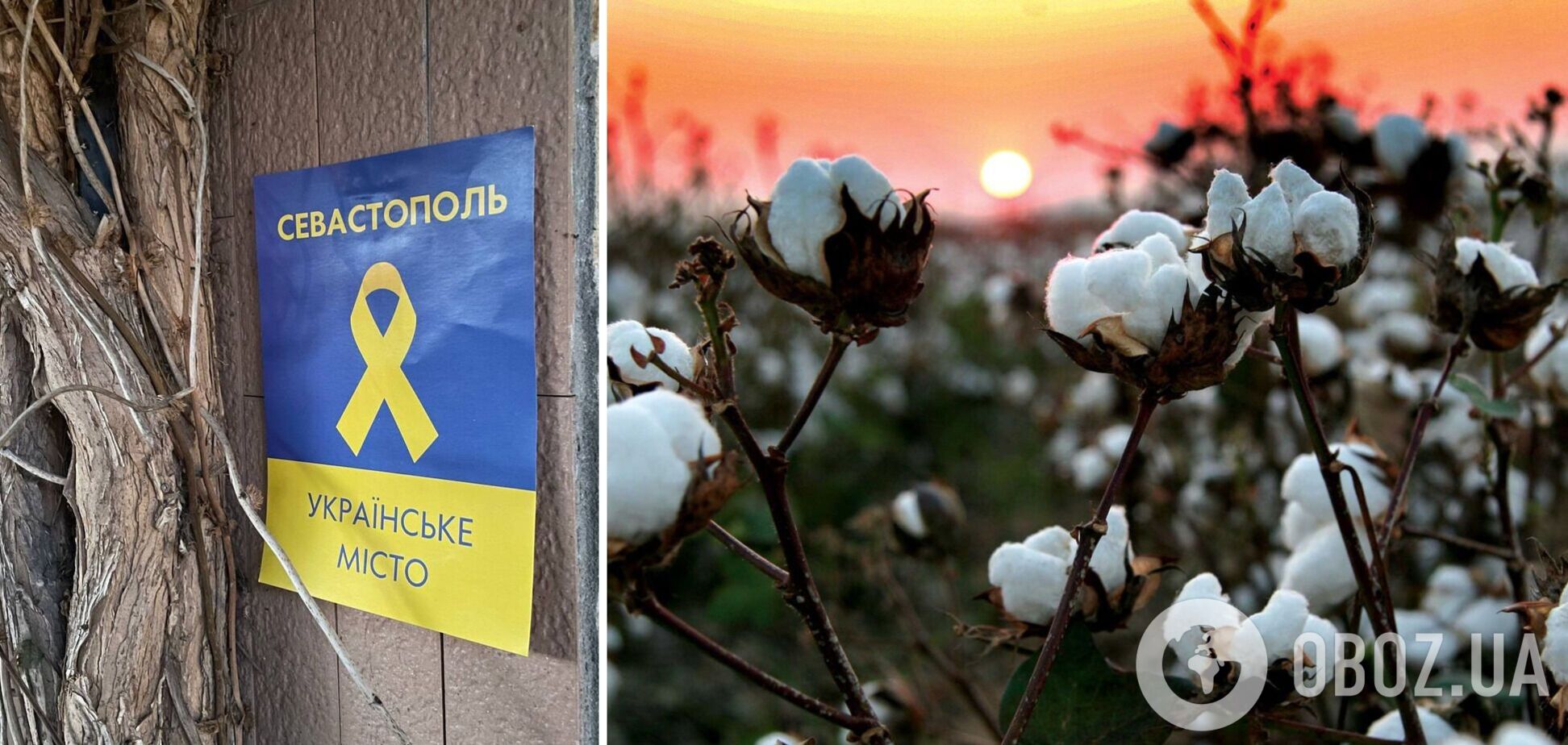 'Бавовна' у Сімферополі