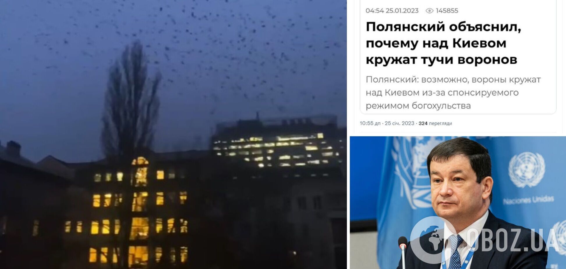 'Боевые комары отдыхают': в России выдали заявление об 'особых' воронах в небе над Киевом, в сети отреагировали