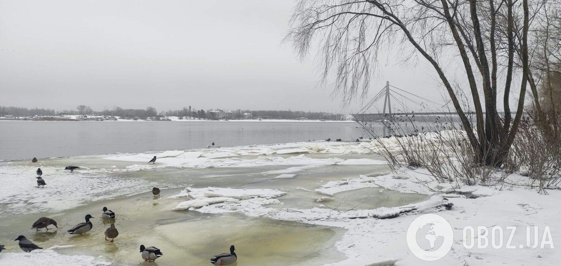 Синоптики прогнозують невеликий сніг