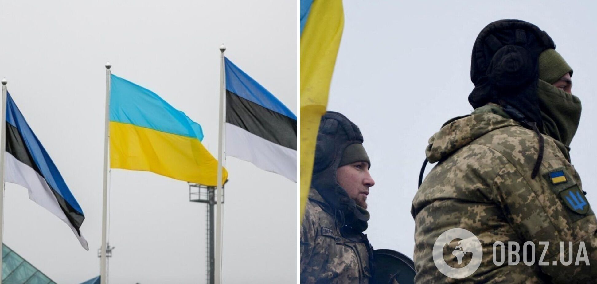 Естонія запросила у Німеччини згоду на постачання в Україну касетних боєприпасів
