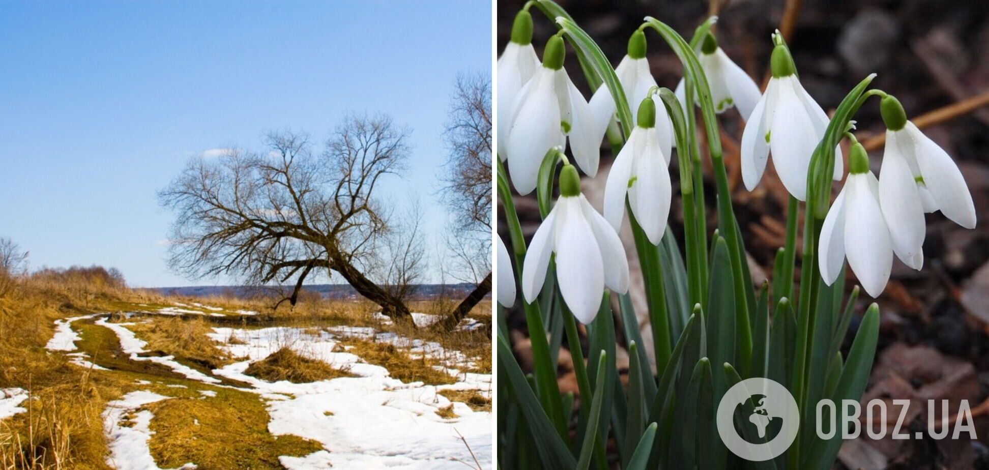 Лютий принесе погодні гойдалки та натякне на весну: прогноз на останній місяць зими