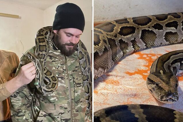 Боец ВСУ спас питона из горящего российского танка