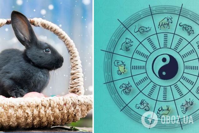 2023 будет решающим для судьбы нескольких знаков: китайский гороскоп