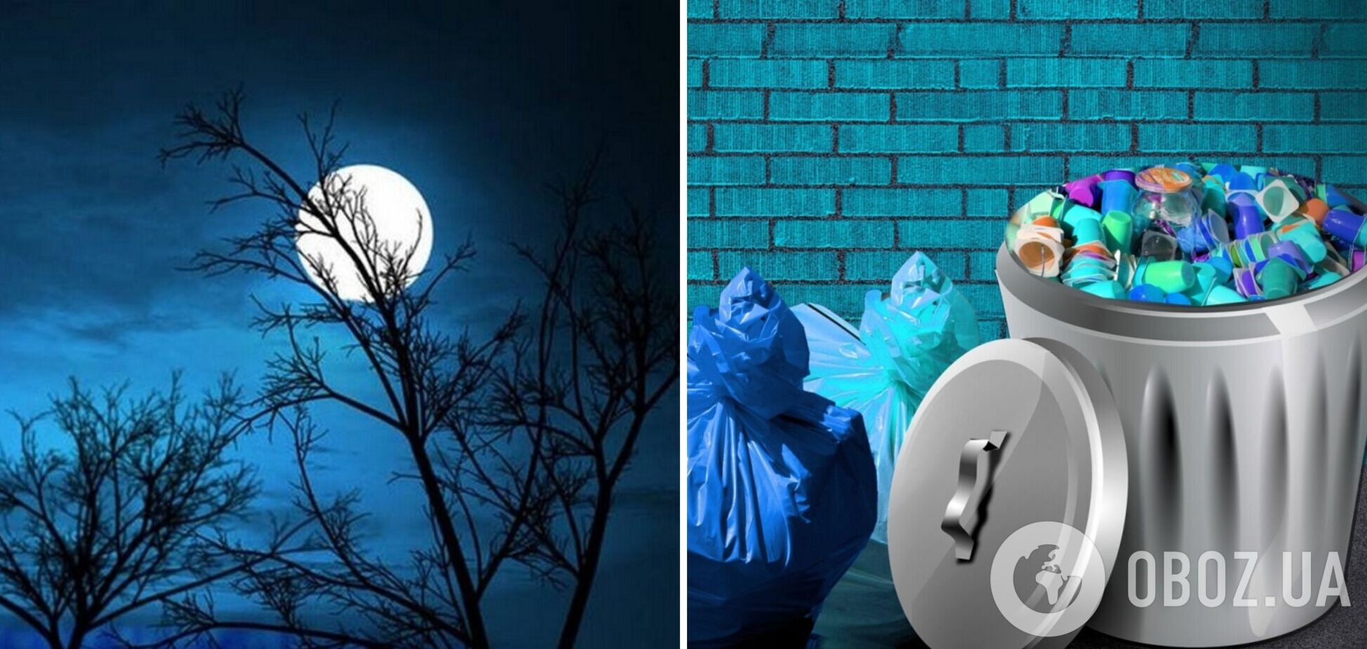 Чому не можна виносити сміття ввечері: забобони і сучасні пояснення