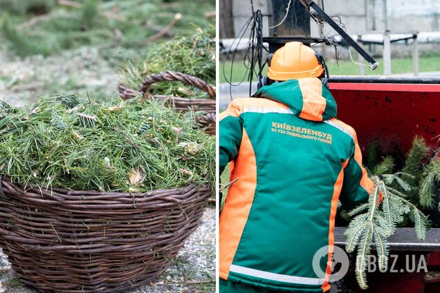 Деревья будут измельчать на привой