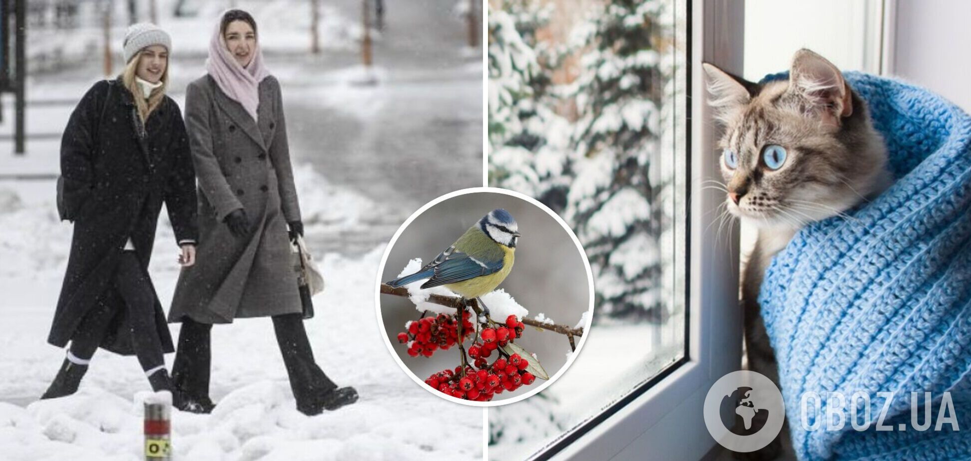 Україну засипле снігом і заллє дощами: синоптики дали прогноз погоди на тиждень. Карта