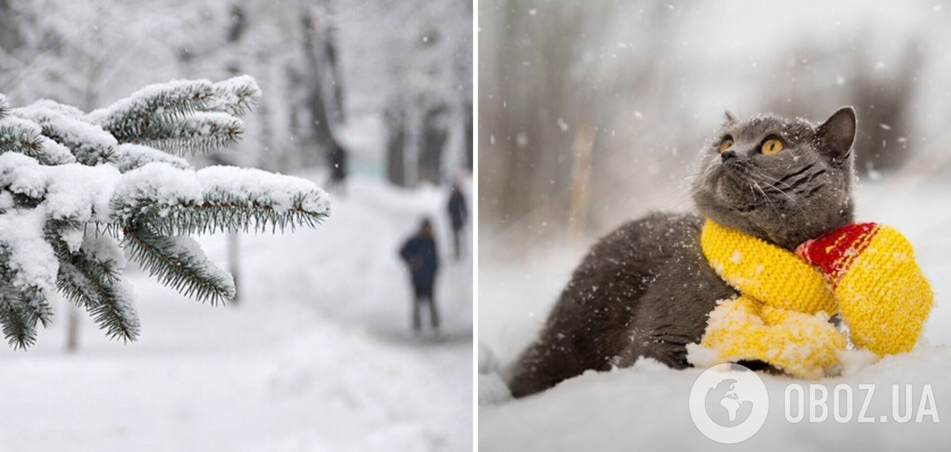 'Зима никуда не идет': синоптик предупредила, что на Украину надвигается похолодание