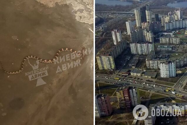 Змію помітили на сходах багатоповерхівки