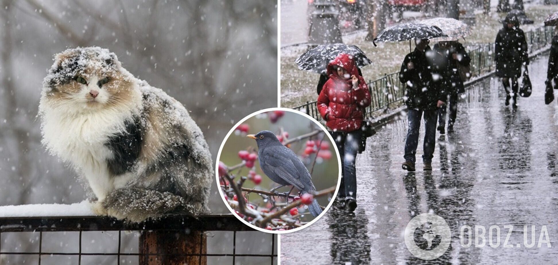 Дожди с мокрым снегом и метели: синоптики предупредили об ухудшении погоды в четверг. Карта