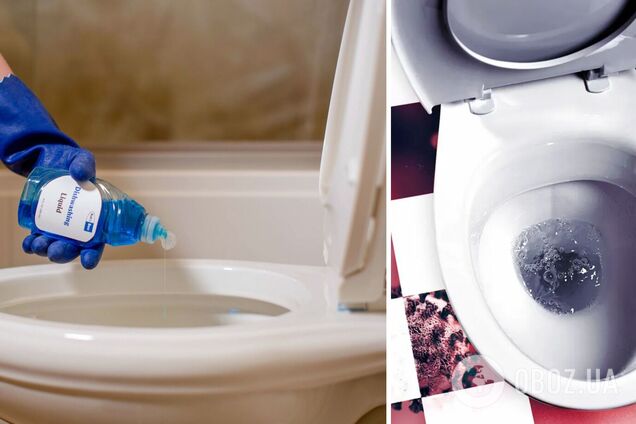 Як прочистити забитий унітаз за хвилину: доступний лайфак