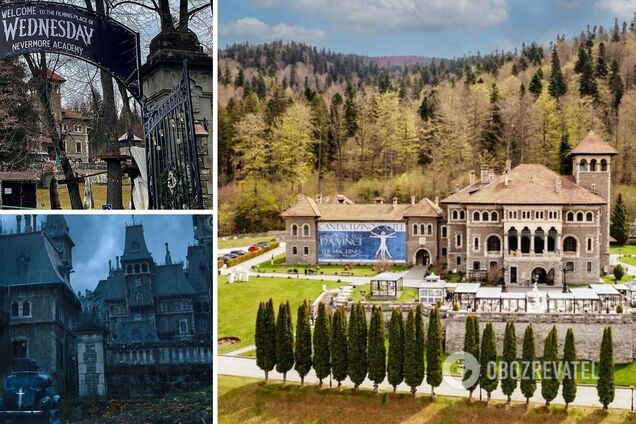 Румынский замок Кантакузино, где снимали сериал 'Уэнздей', можно посетить за 270 гривен: где находится и как добраться