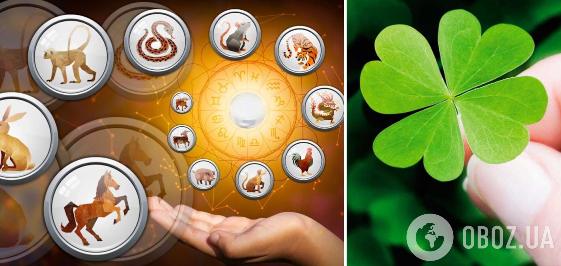 Повезет трем знакам: опубликован новый китайский гороскоп на 2023 год
