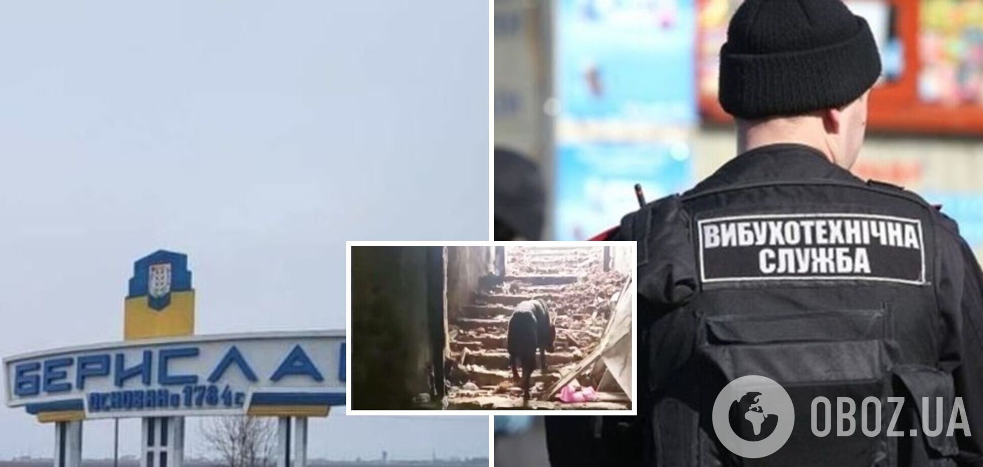 В Бериславе правоохранители спасли собаку из глубокой ямы