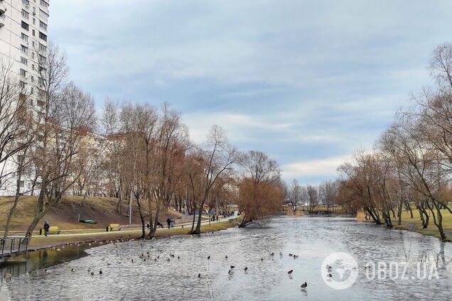 Осадков синоптики не прогнозируют