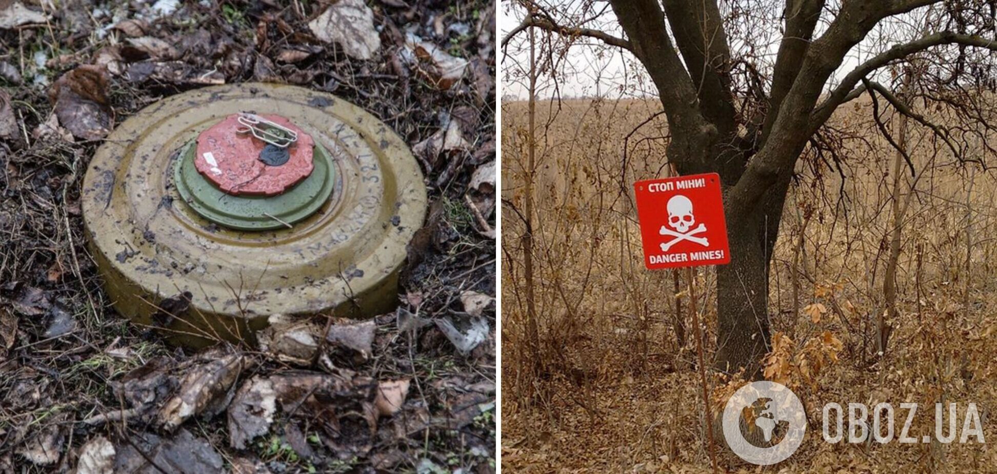 В Херсонской области на мине подорвался молодой парень