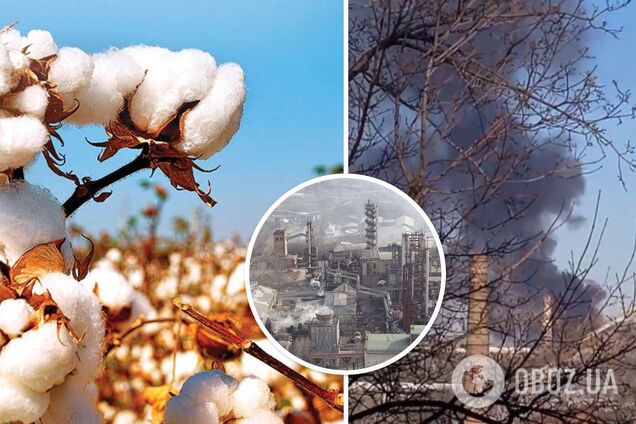 Бавовна в Донецьку