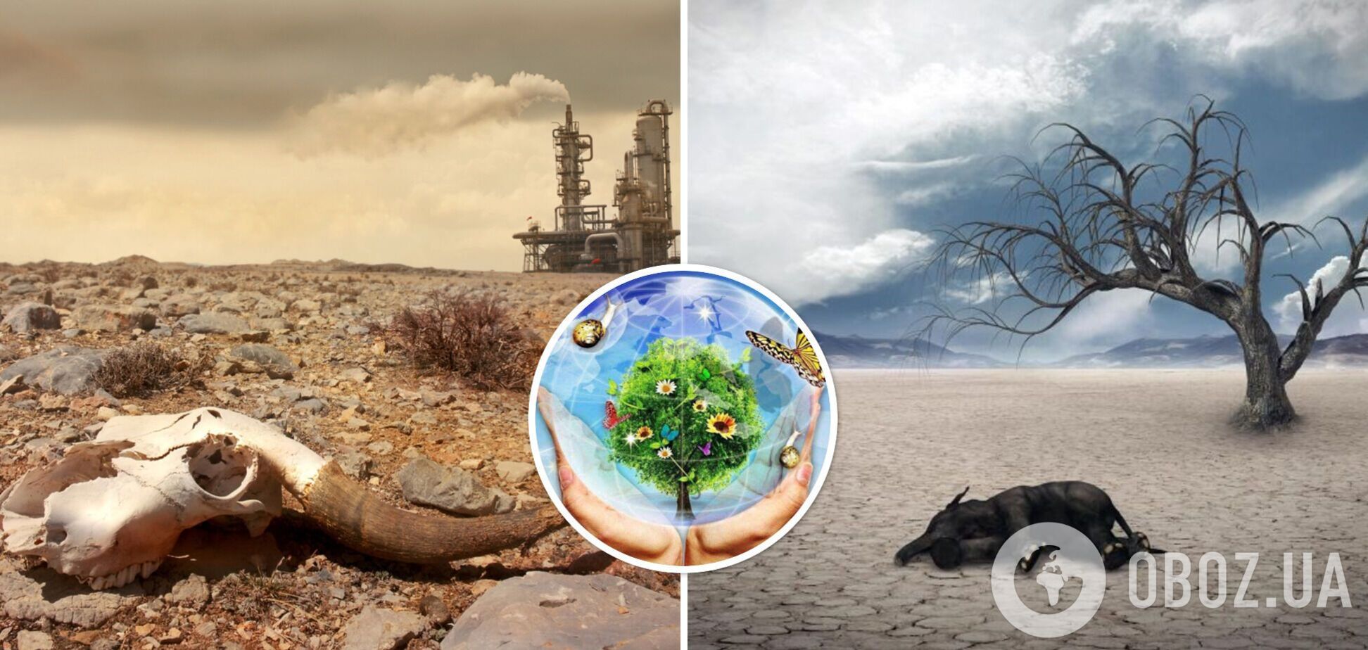 Масове вимирання продовжиться: вчені описали головну загрозу людству