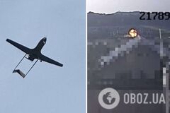 Бавовна на території Росії