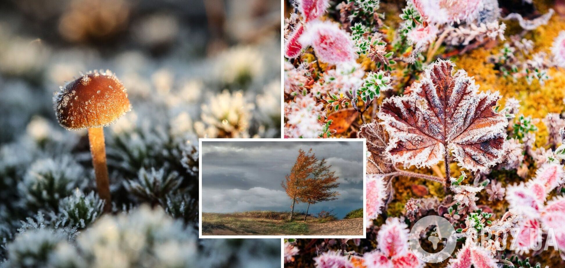 Заморозки и не только: синоптики дали прогноз погоды на вторник, 10 октября