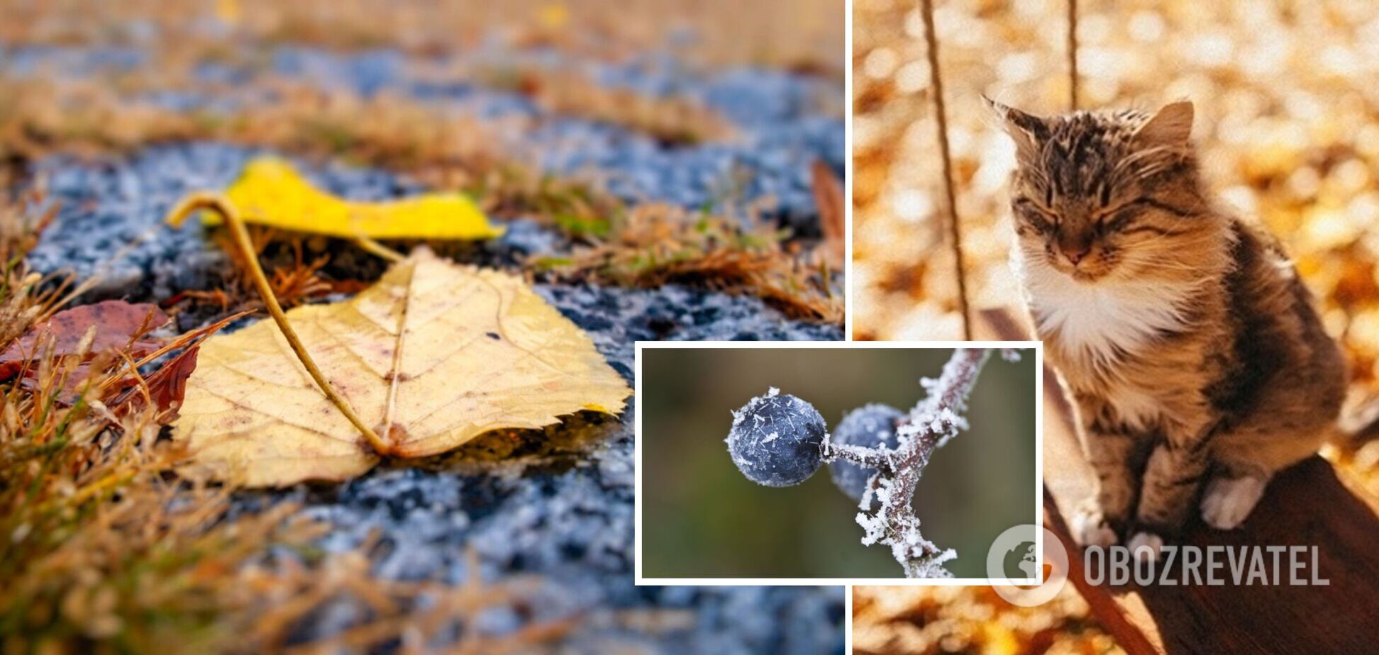 Україна відчує подих Арктики: синоптик дав детальний прогноз погоди на тиждень. Карта