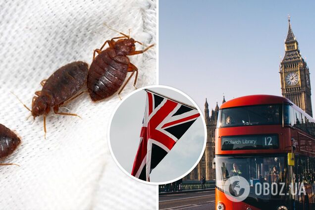 Клопы атакуют Европу: паразиты 'путешествуют' в чемоданах, на одежде и уже добрались до Великобритании