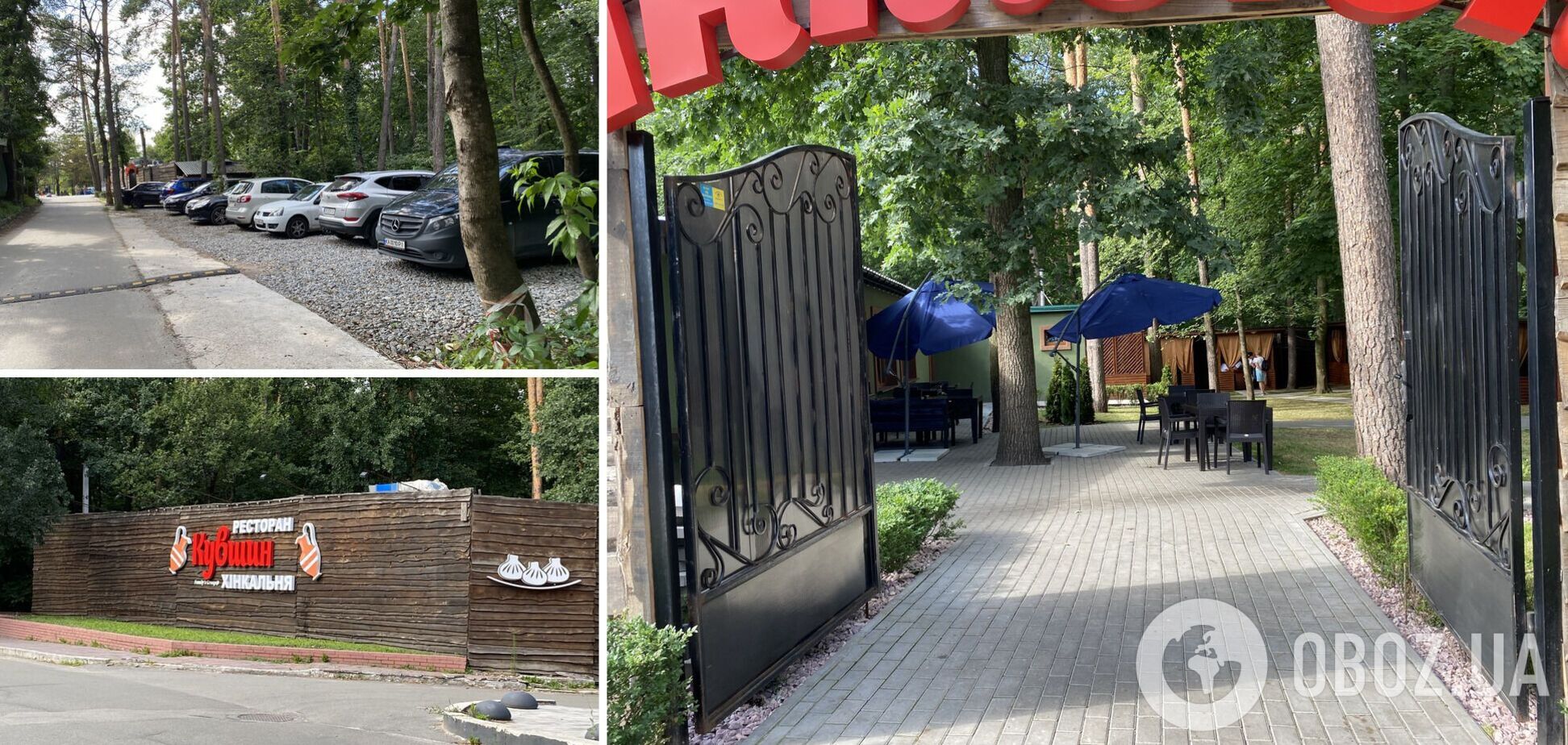 Суд затягивают, а регистраторы исчезли: что происходит с незаконным захватом территории Национального парка 'Голосеевский' в Киеве