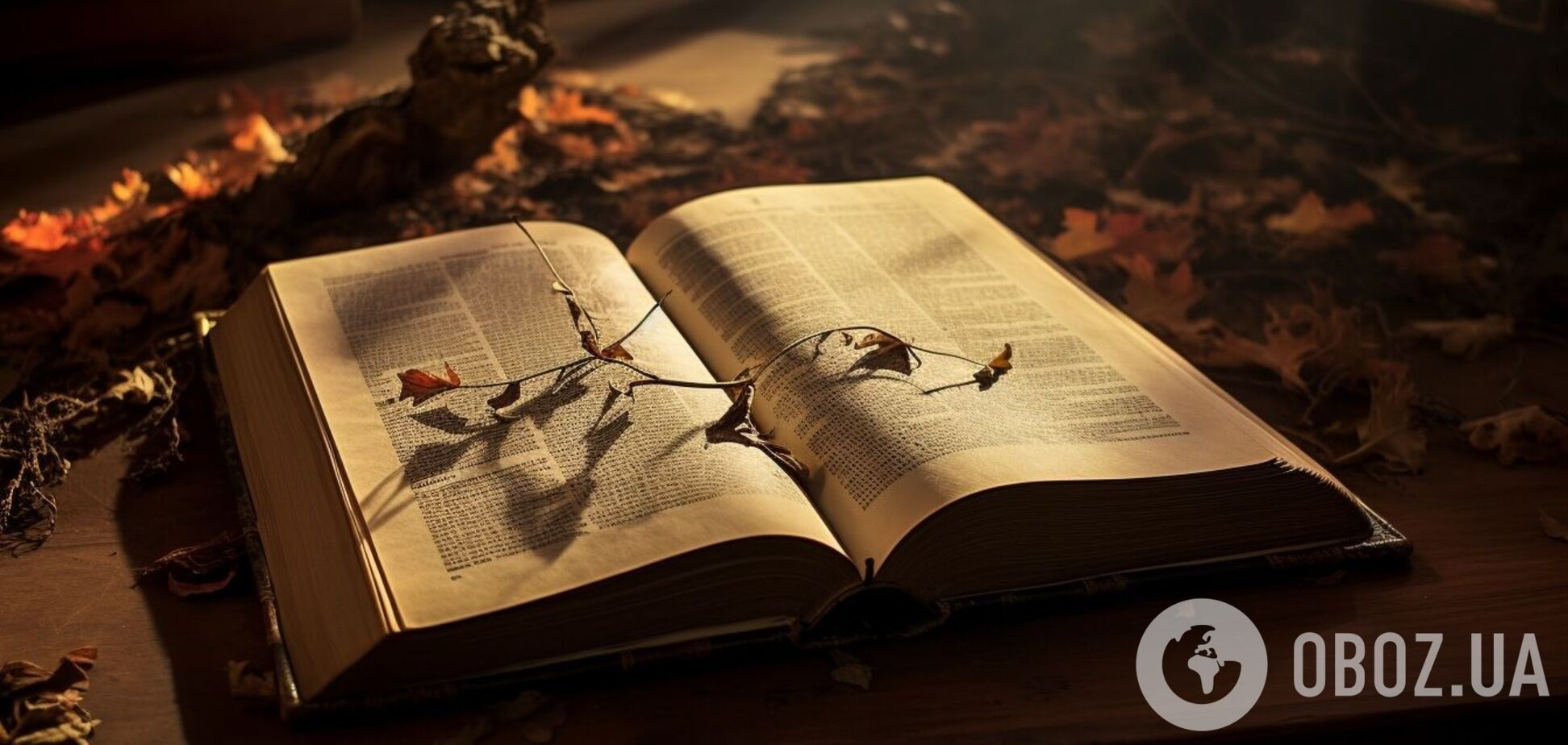 Что такое 'крислатий': значение украинского слова