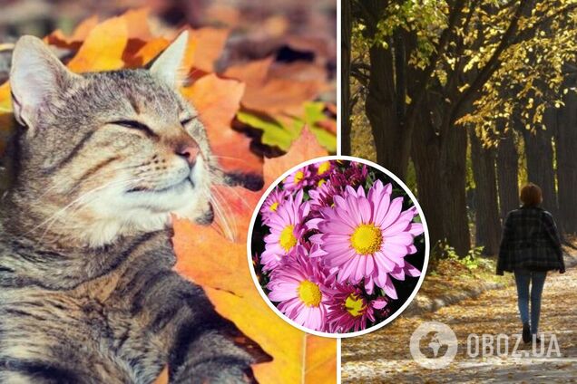 Небольшое потепление: синоптики дали прогноз погоды на четверг, 19 октября