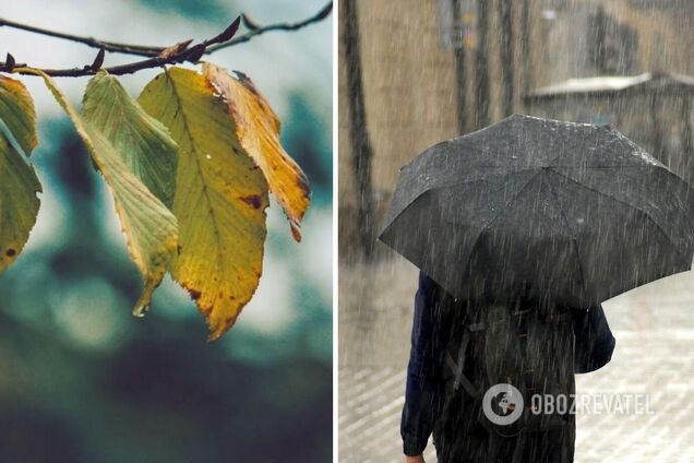 Синоптики прогнозируют осадки в регионе