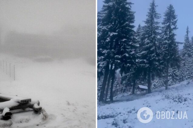 Погода в Карпатах есть снег или нет - вершины замело снегом - фото и видео  | OBOZ.UA