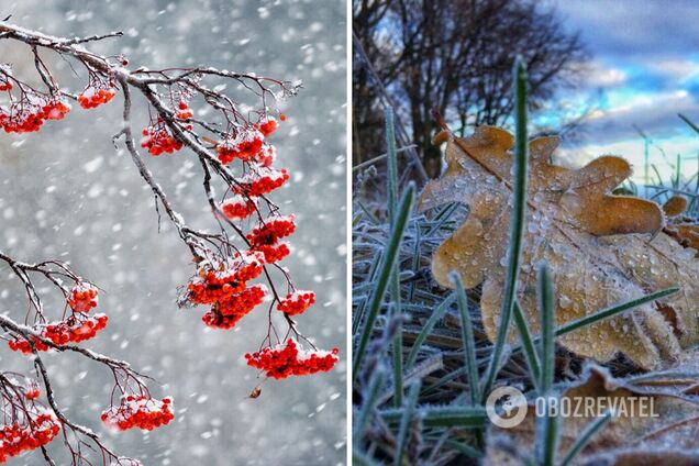 Буде холодно, місцями пройде мокрий сніг: синоптики дали прогноз погоди на тиждень
