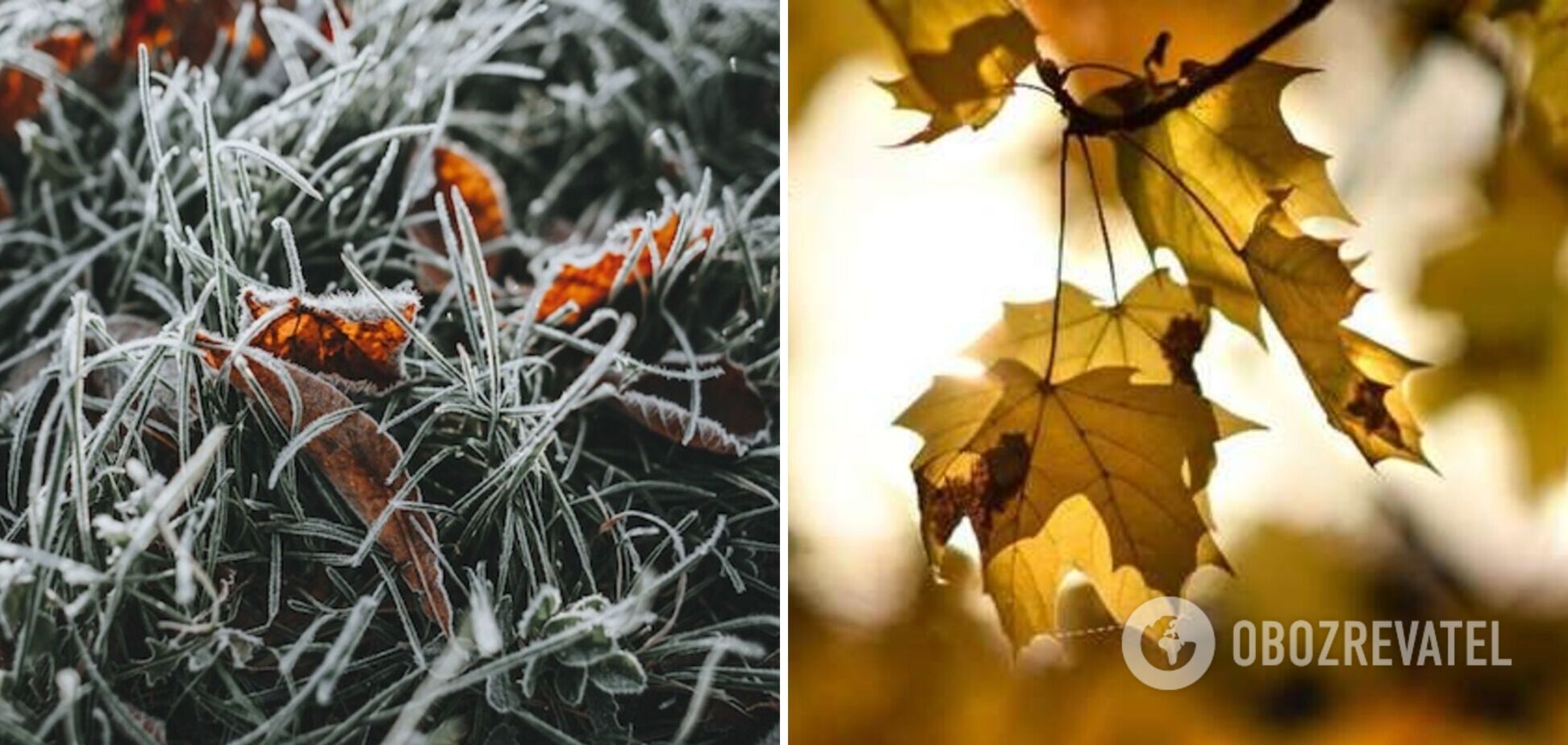 Днем туман, ночью заморозки: синоптики дали прогноз погоды на среду, 18 октября