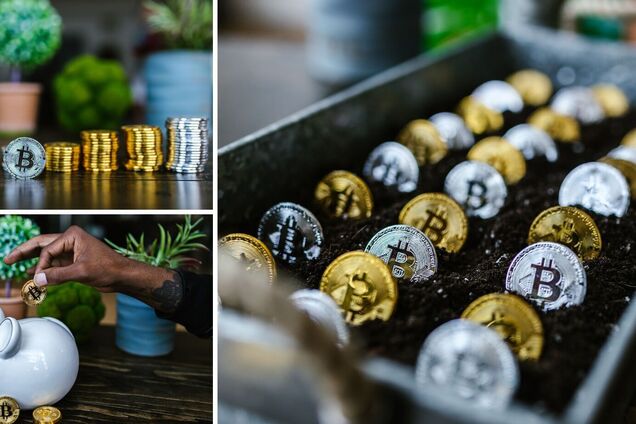 Експерти пояснили, як знизити ризики втрат у новачків у криптотрейдингу