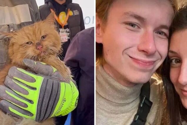 З-під завалів у Запоріжжі врятували кота: його господарів убила російська ракета