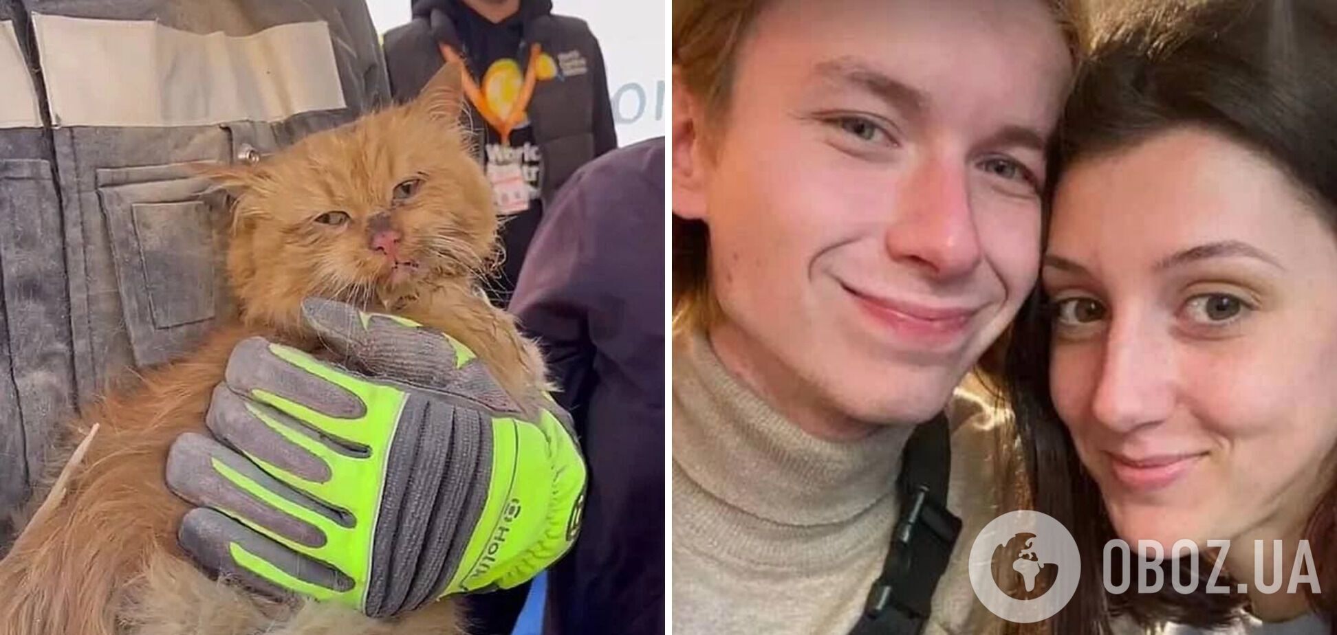 З-під завалів у Запоріжжі врятували кота: його господарів убила російська ракета