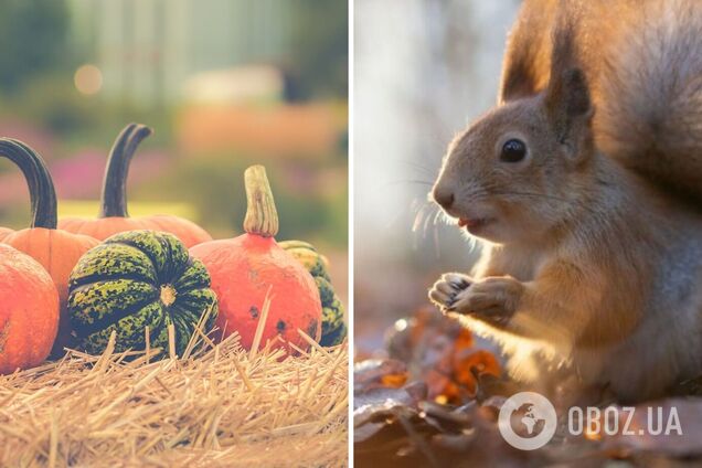 Незначне похолодання, але без опадів: синоптики дали прогноз погоди на вівторок, 3 жовтня