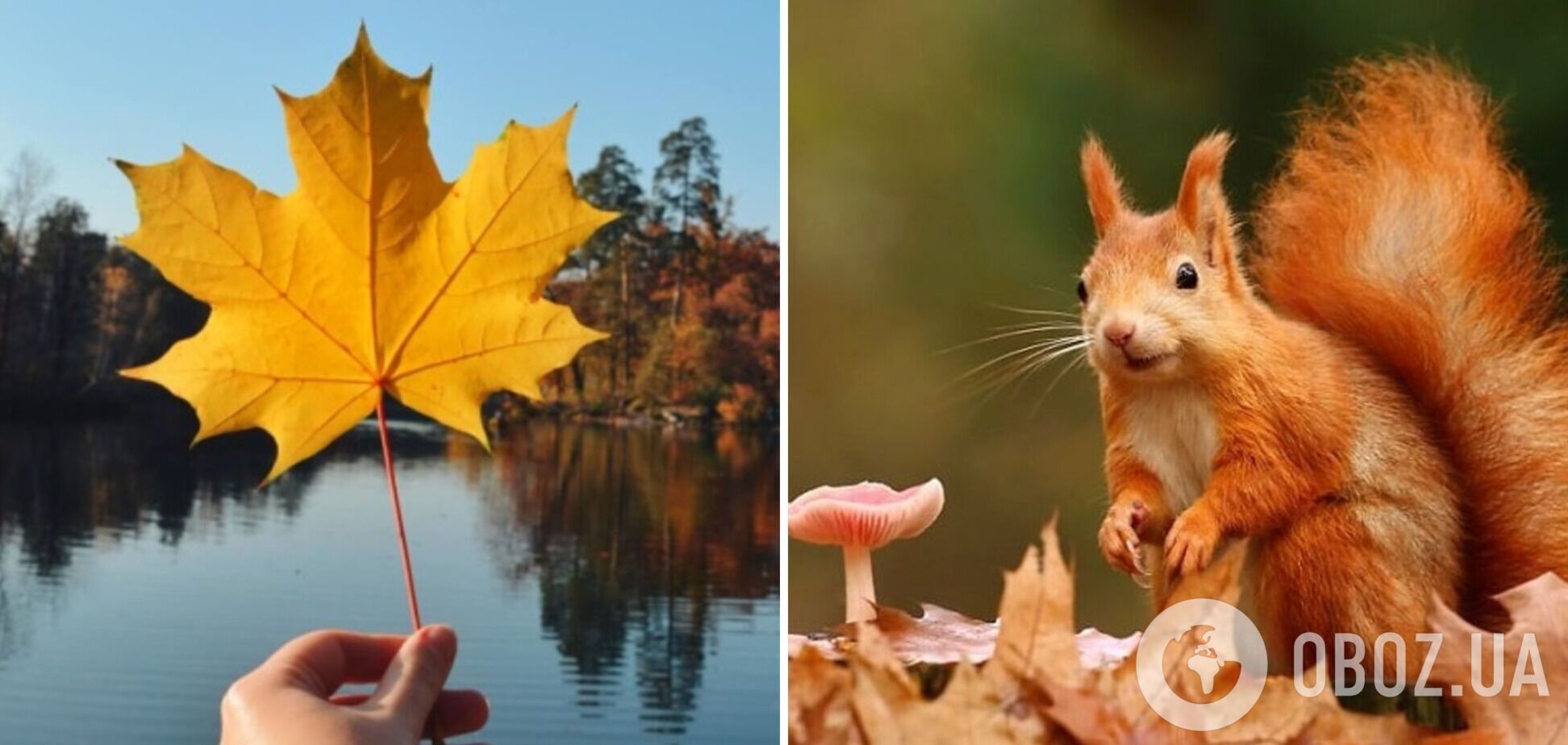 Аномальне тепло зміниться похолоданням: синоптики дали прогноз на початок тижня в Україні. Карта