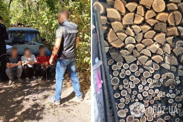 Вирубували ботанічний заказник на дрова: на Одещині викрили сімох учасників злочинної групи. Фото